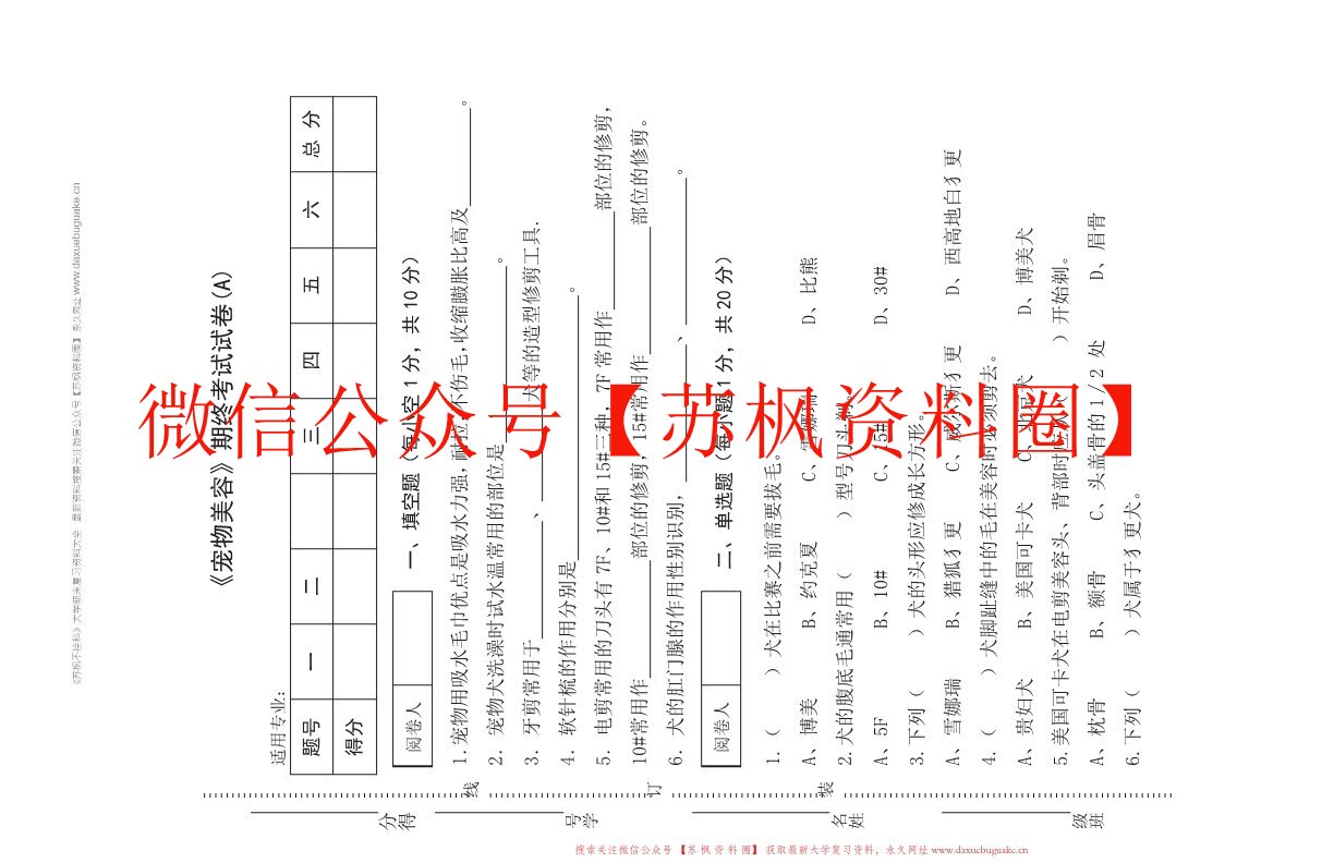 宠物美容
